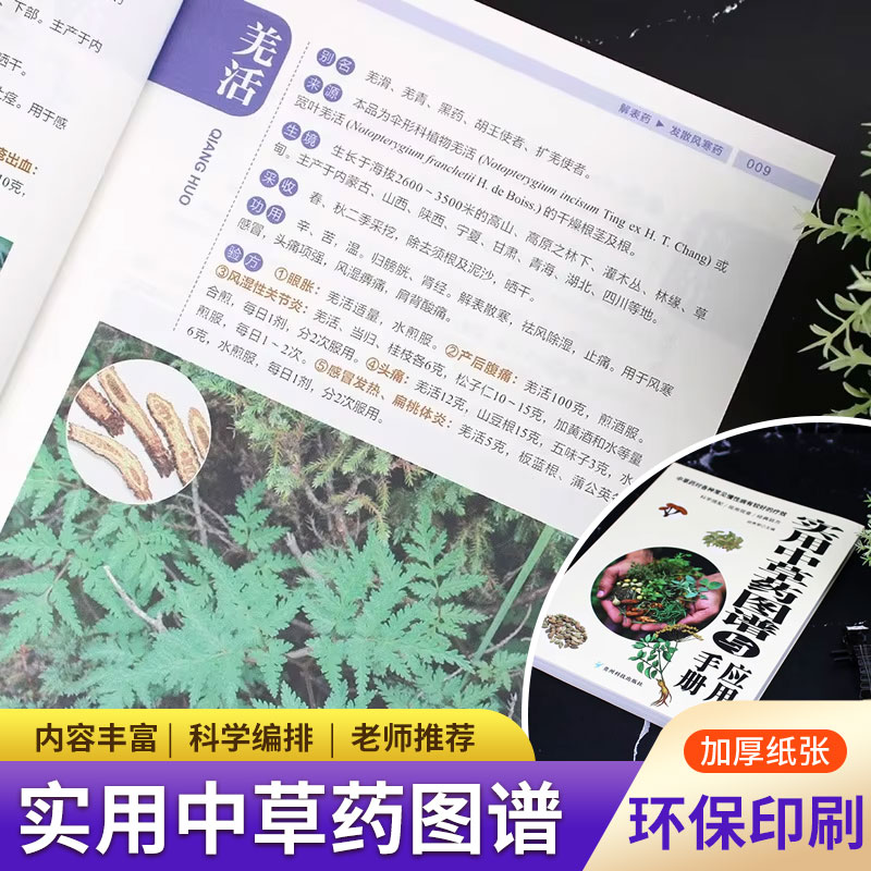 แผนภูมิสมุนไพรและคู่มือฉบับใช้ - Wellness Herbal Medicine บทวิจารณ์และราคา